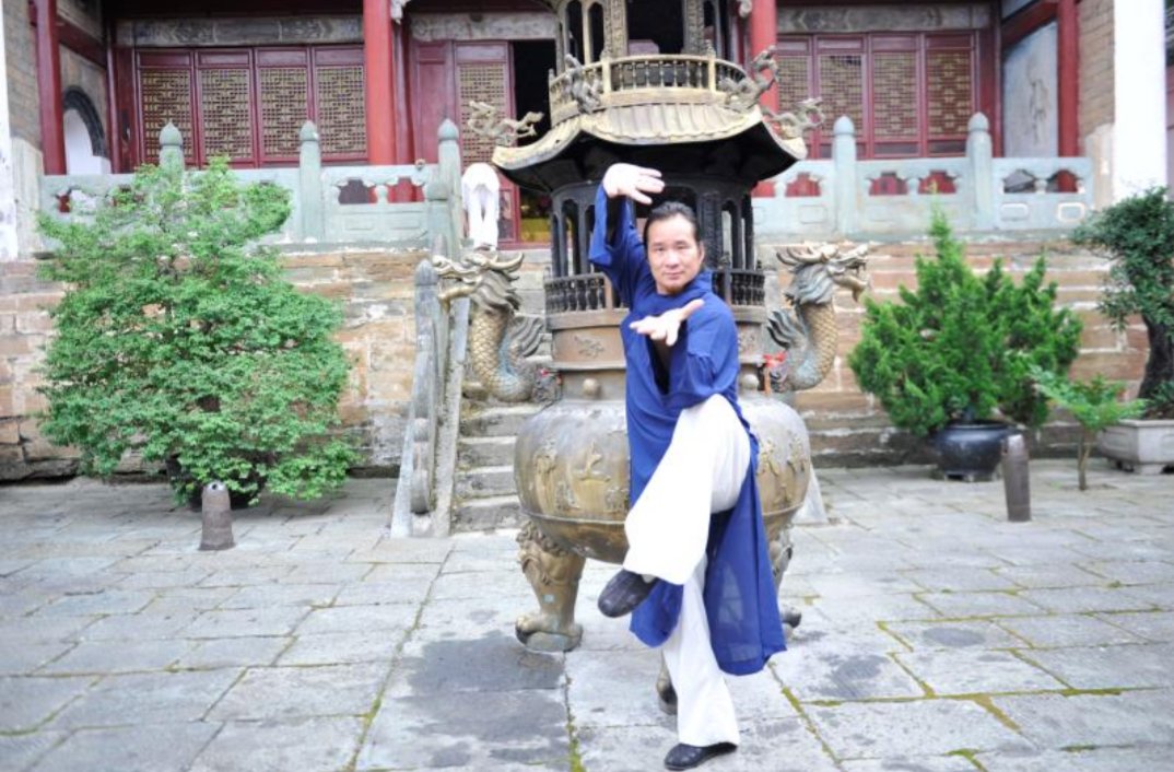 Master|Tai Yi Wu Xing Quan